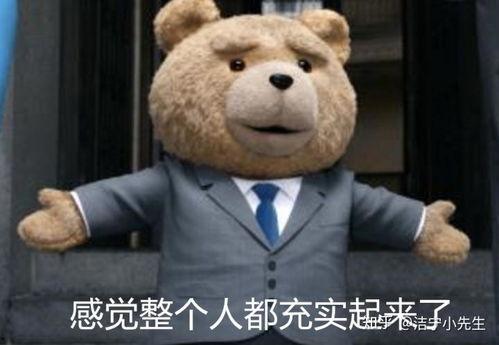 涛涛熊表情包,萌态可掬，笑点满满